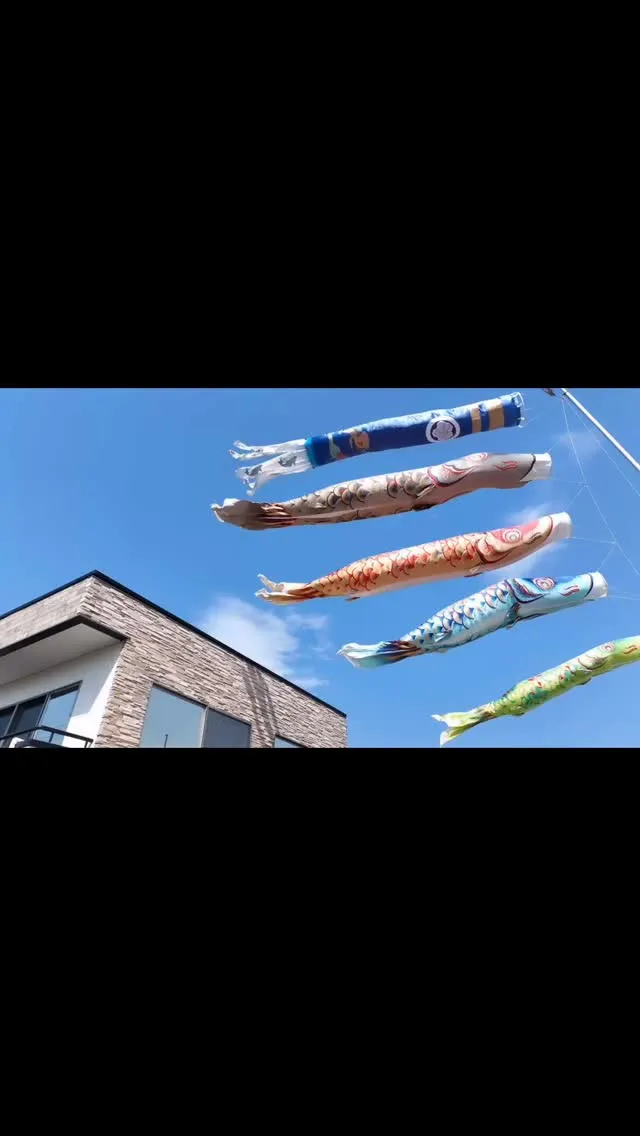 毎年恒例！今年もこの時期がきました🎏